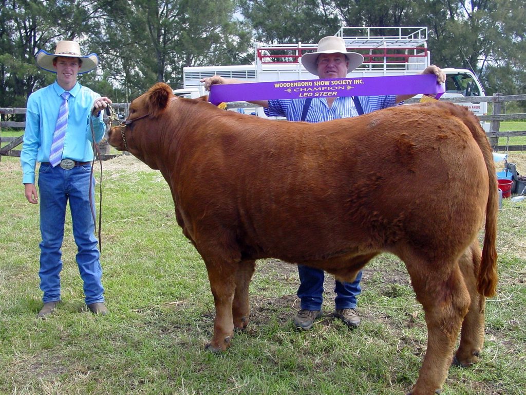 Grand Champion Led Steer: 